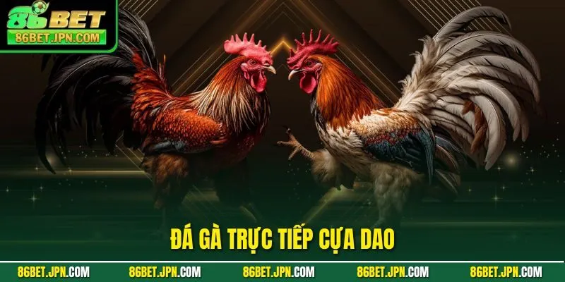 86BET ⭐️ Nhà Cái Uy Tín Top 1 Châu Âu | Lì Xì Phát Lộc +86K - HAVOR.SITE