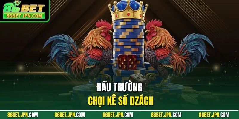 Về Nhà Cái 86BET – Điểm Hẹn Cá Cược Đổi Thưởng Hot Nhất 2026 - HAVOR.SITE