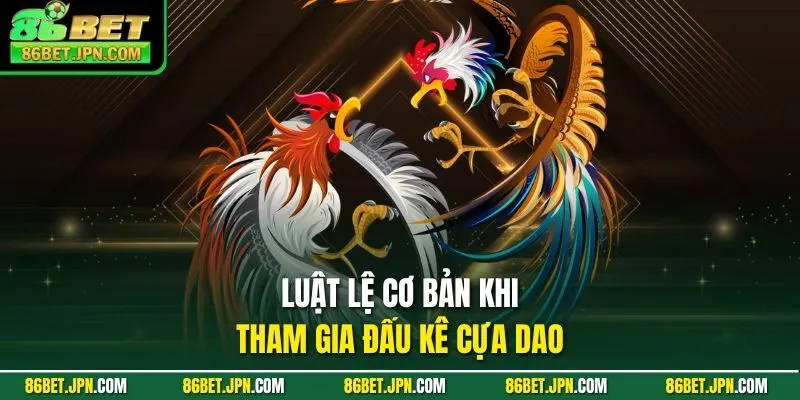 Đá Gà Trực Tiếp Cựa Dao Sự Lựa Chọn Nhiều Nhất 2026 - HAVOR.SITE