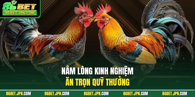 Đá Gà 86BET - Ra Mắt Hơn 100 Trận Thomo Rực Lựa Mỗi Ngày - HAVOR.SITE