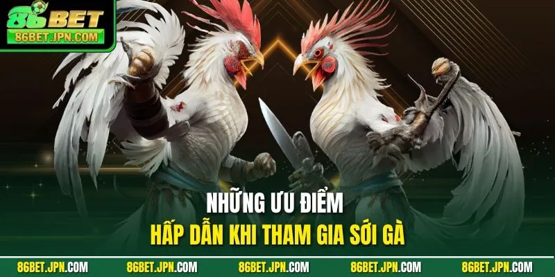 Đá Gà 86BET - Ra Mắt Hơn 100 Trận Thomo Rực Lựa Mỗi Ngày - HAVOR.SITE