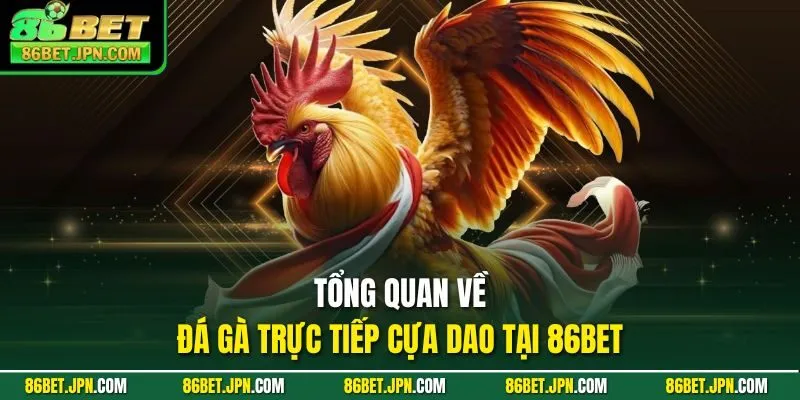 Đá Gà Trực Tiếp Cựa Dao Sự Lựa Chọn Nhiều Nhất 2026 - HAVOR.SITE