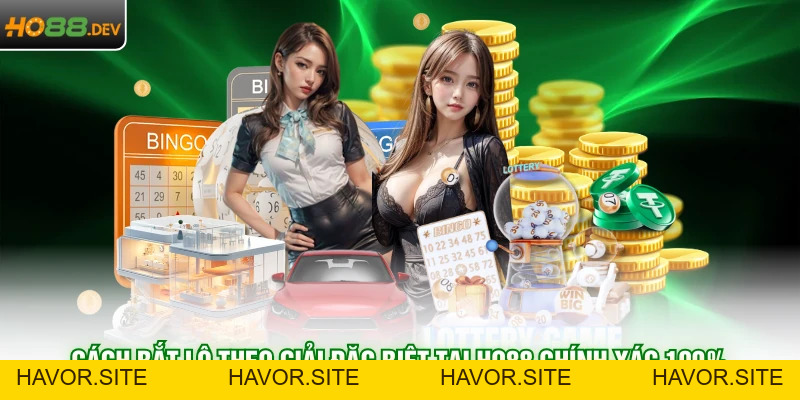 Mẹo Cá Cược - HAVOR.SITE