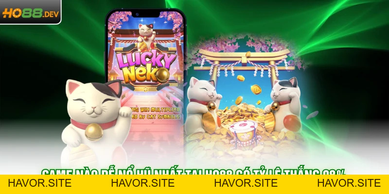 Mẹo Cá Cược - HAVOR.SITE