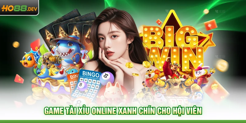 Casino HO88 - Thiên Đường Giải Trí Đẳng Cấp Năm 2026 - HAVOR.SITE Casino HO88 - Thiên Đường Giải Trí Đẳng Cấp Năm 2026 - HAVOR.SITE