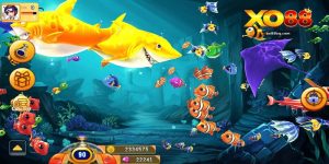 Bắn Cá Xo88 – Sảnh Giải Trí Đại Dương Trên Nền Tảng Số - HAVOR.SITE