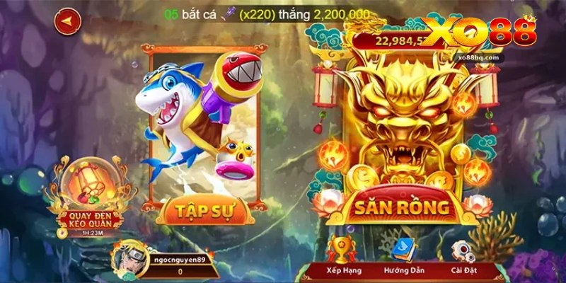 Bắn Cá Xo88 – Sảnh Giải Trí Đại Dương Trên Nền Tảng Số - HAVOR.SITE