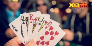 Casino Xo88 – Sòng Bài Trực Tuyến Cho Người Chơi Việt - HAVOR.SITE
