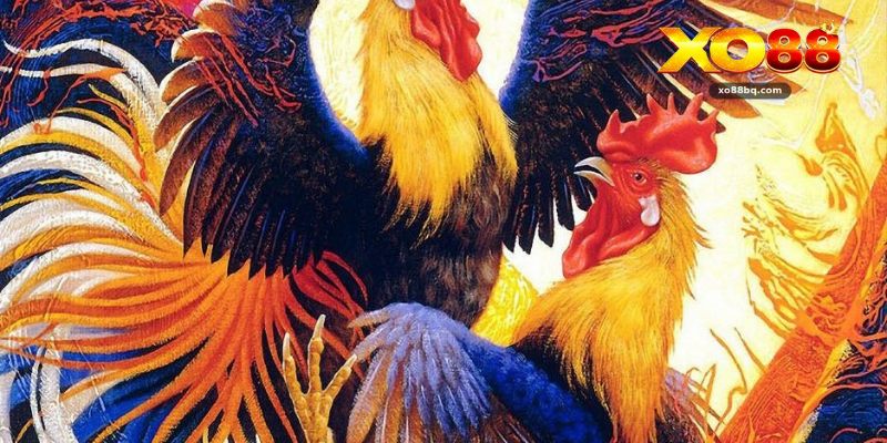 Gà Cựa Sắt - Kinh Nghiệm Chọn Gà Và Cách Chơi Hiệu Quả - HAVOR.SITE