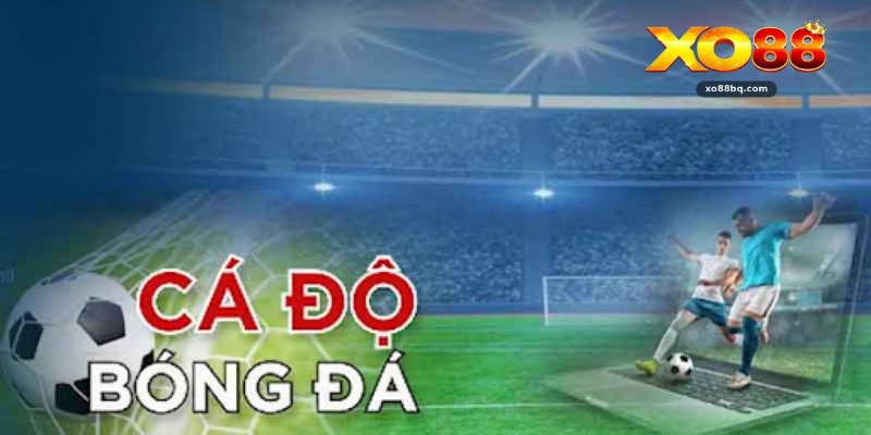 Kèo Chấp 1/2 - Hướng Dẫn Cá Cược Hiệu Quả Tại Xo88 - HAVOR.SITE
